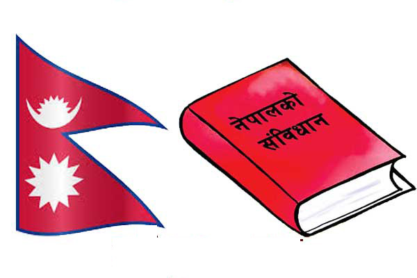 Constitution amendment taskforce discusses with experts